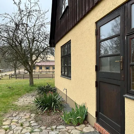 Monika In Im Bernstein Wendorf (Kuhlen-Wendorf)